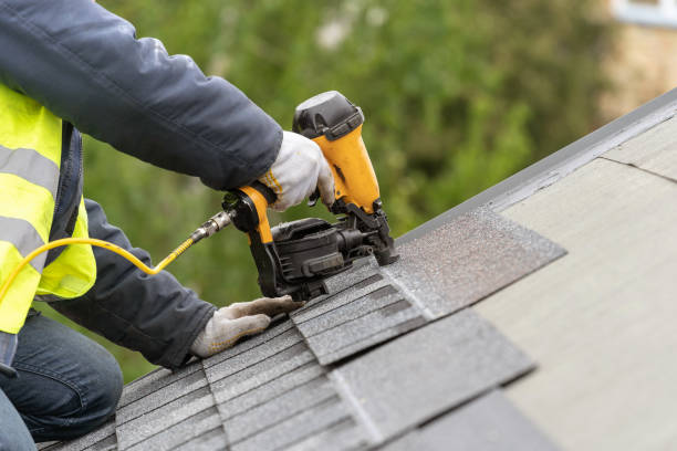 Best Roof Moss and Algae Removal  in University Center, VA