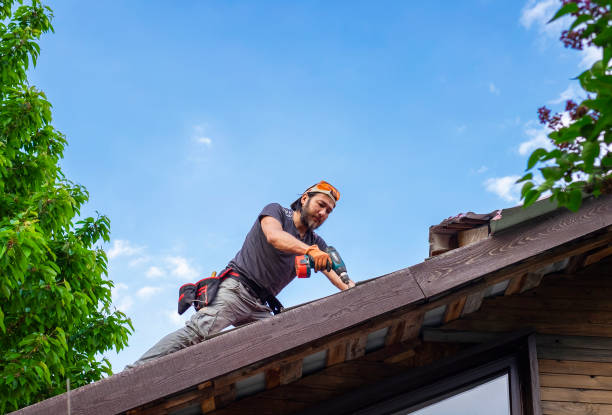 Best Roof Maintenance and Cleaning  in University Center, VA