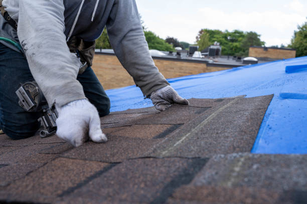 Best Cold Roofs  in University Center, VA