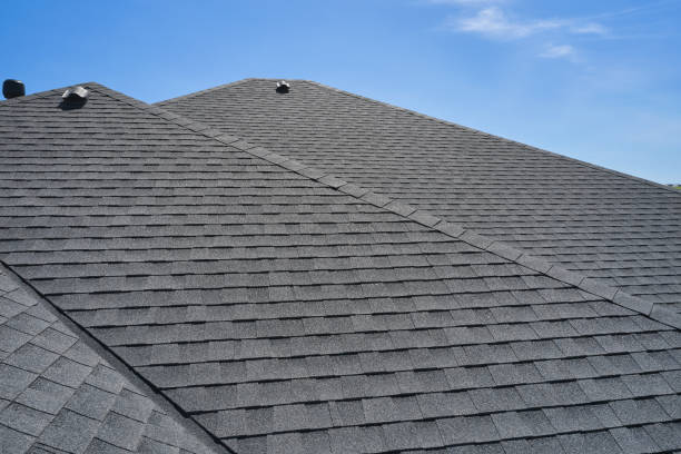 Best Solar Panel Roofing Installation  in University Center, VA